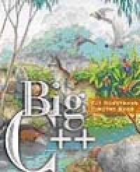 Image of Big C++