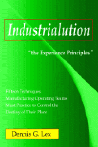 Image of Industrialution: The Experience Principles