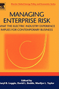 Image of Managing Enterprise Risk: What The Electric Industry Experience Implies for Contemporary Business