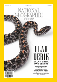Image of National Geographic : Ular Derik dalam Cinta dan Dengki