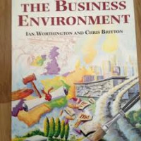 Image of The Business Environment